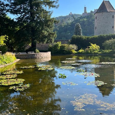 Ferienwohnung Burgenblilck Weinheim Buitenkant foto