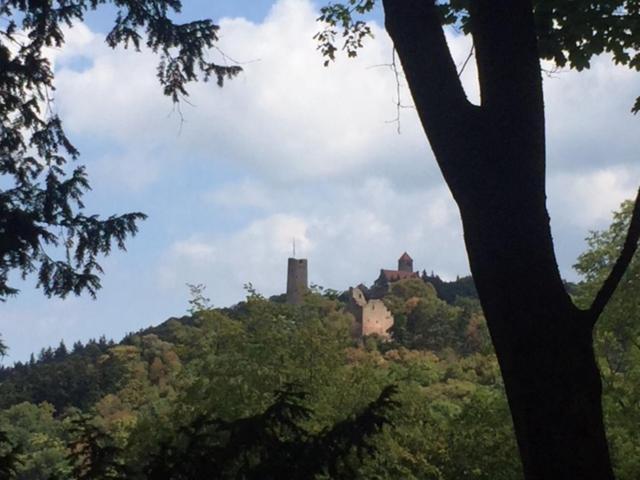 Ferienwohnung Burgenblilck Weinheim Buitenkant foto