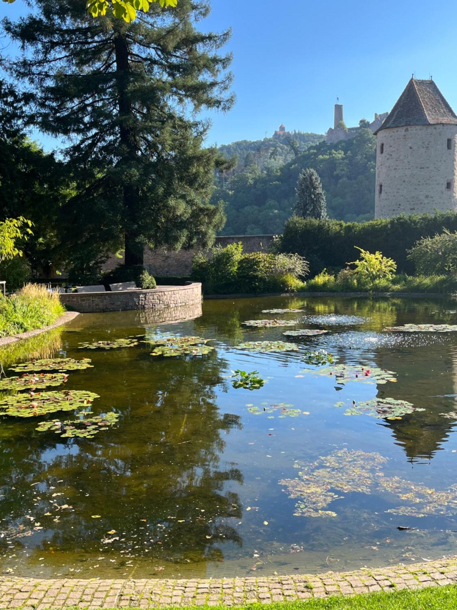Ferienwohnung Burgenblilck Weinheim Buitenkant foto