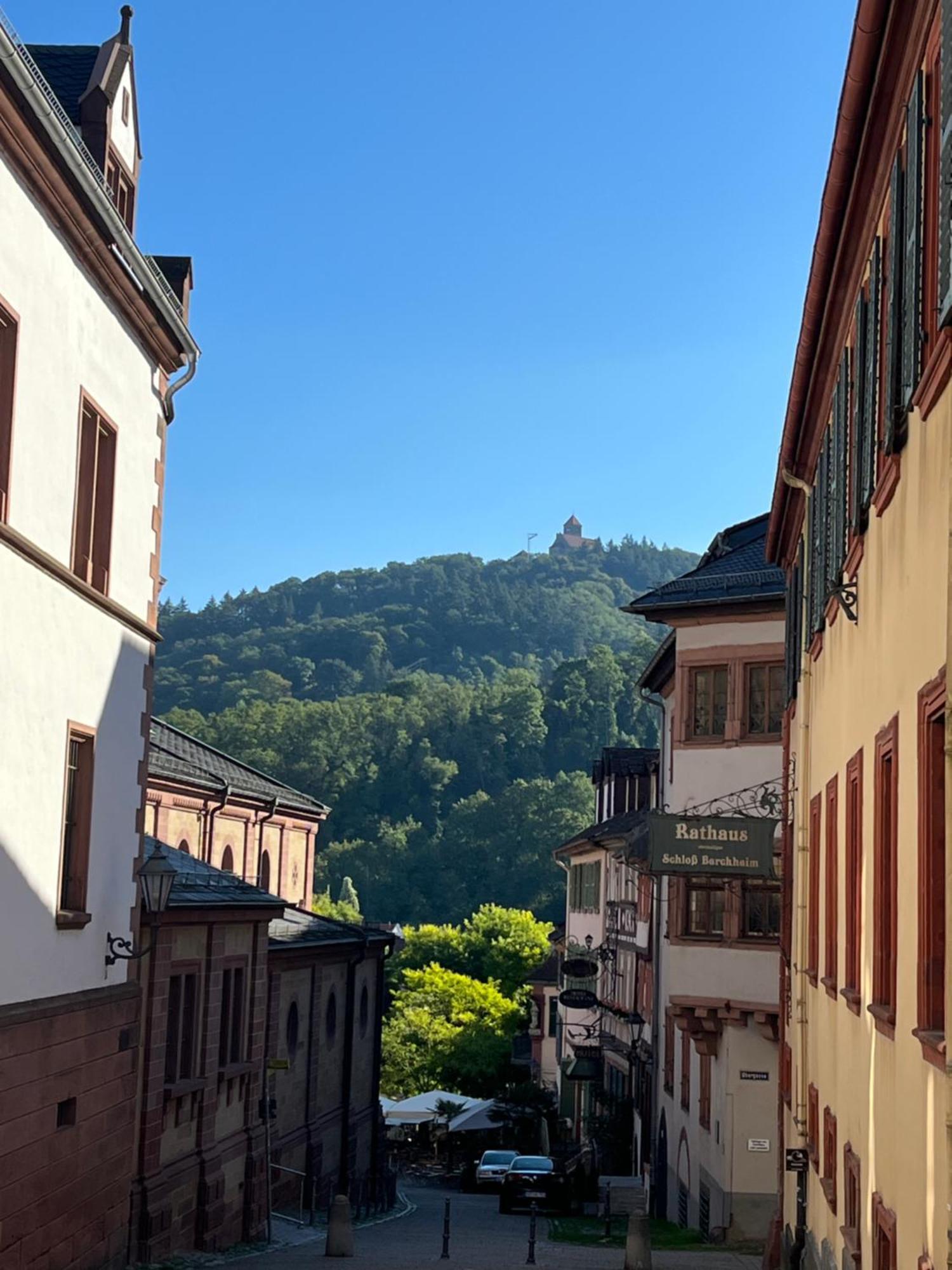 Ferienwohnung Burgenblilck Weinheim Buitenkant foto