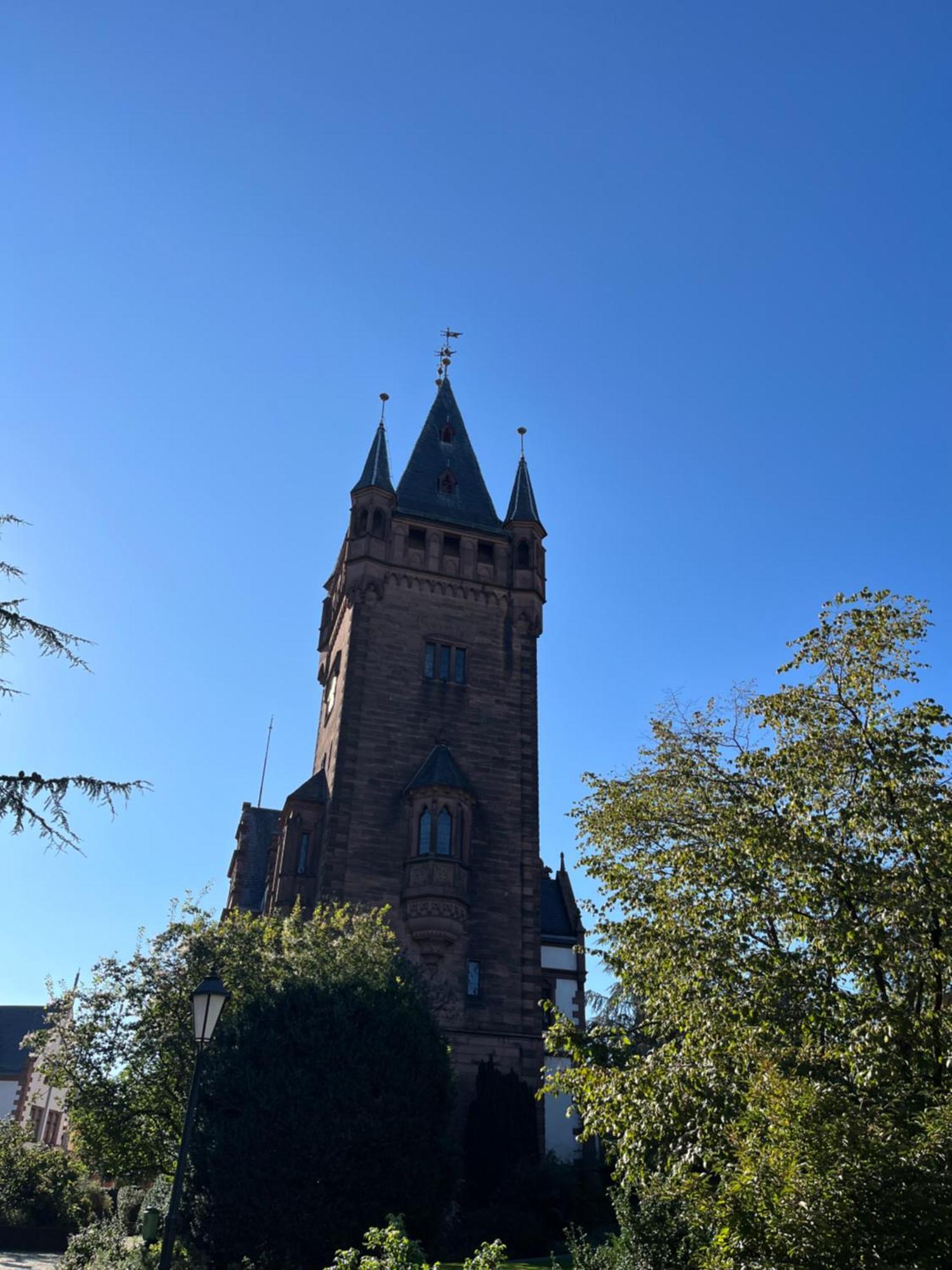 Ferienwohnung Burgenblilck Weinheim Buitenkant foto