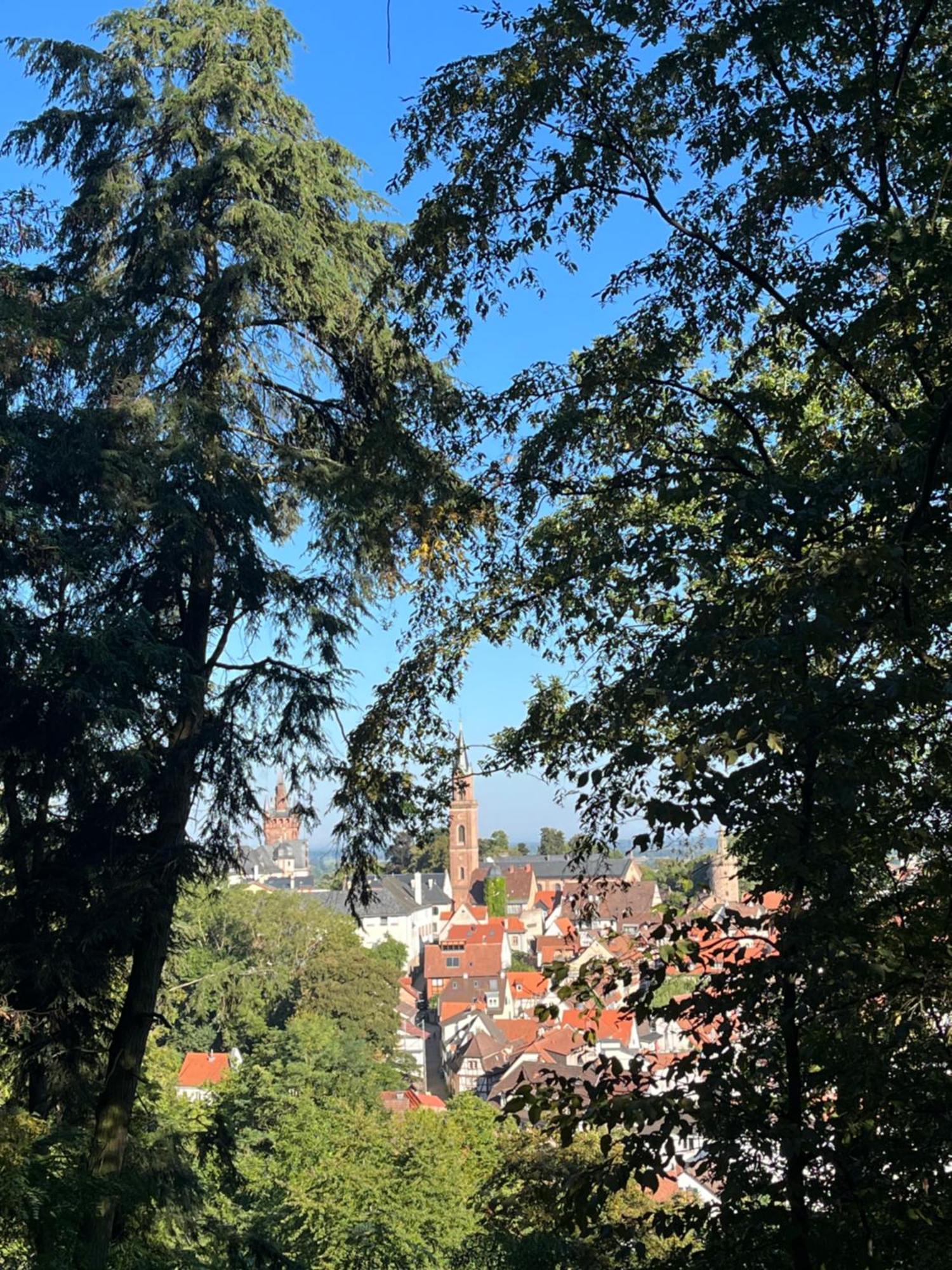 Ferienwohnung Burgenblilck Weinheim Buitenkant foto